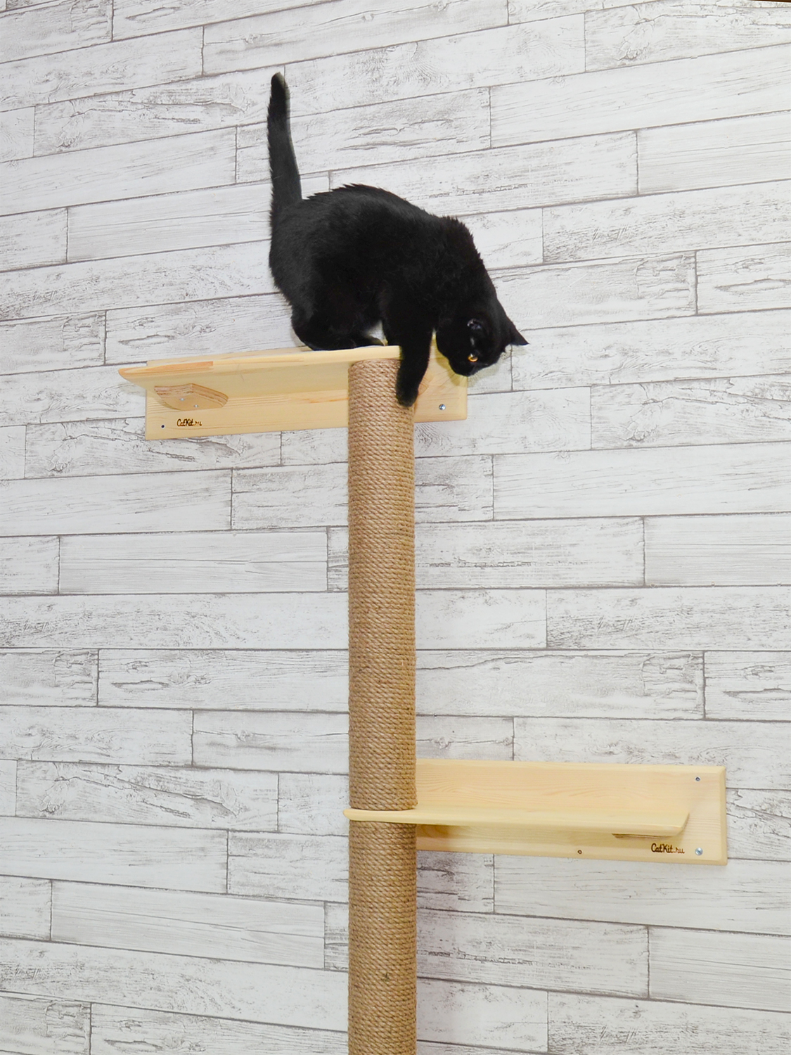Когтеточка котодерево для кошек на стену высокая